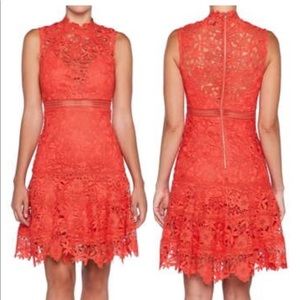 ⬇️ Bardot | Poppy Red Lace Cocktail Dress